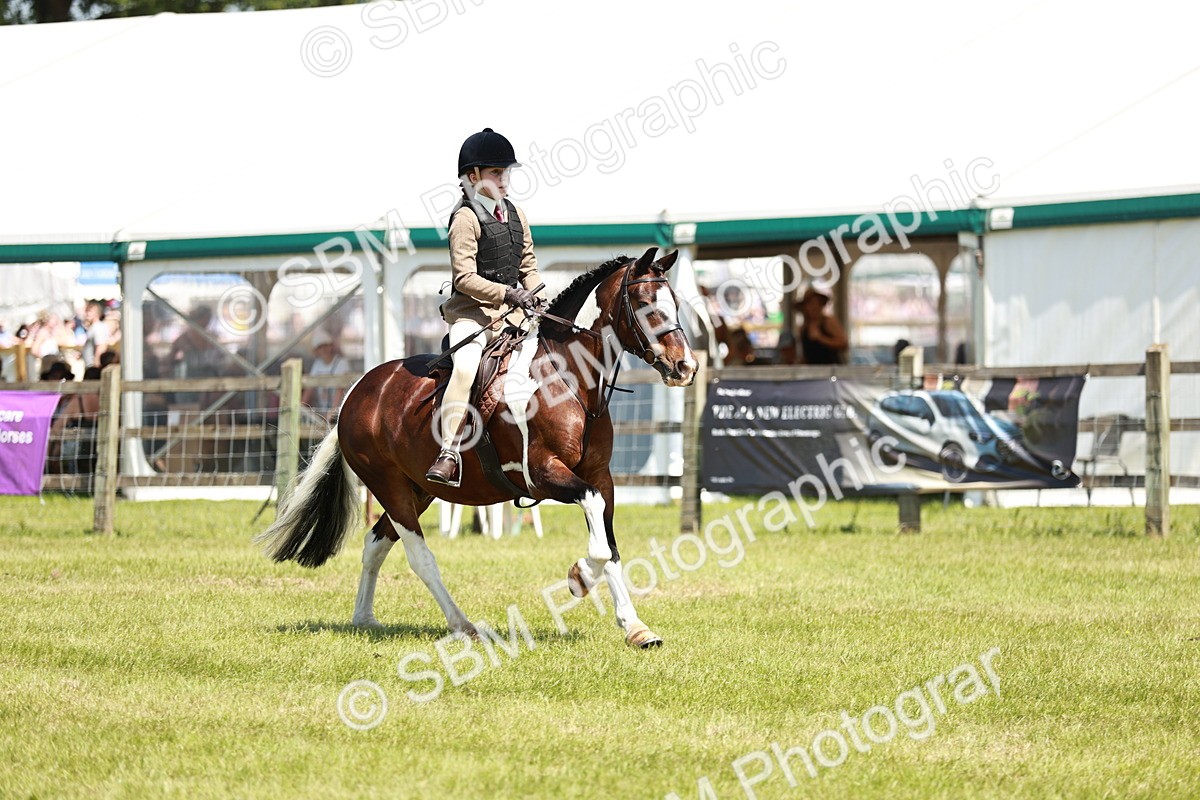 SBM_15473 - Class 108-109 - BSPS LIHS Open Gradle & Nursery Stakes