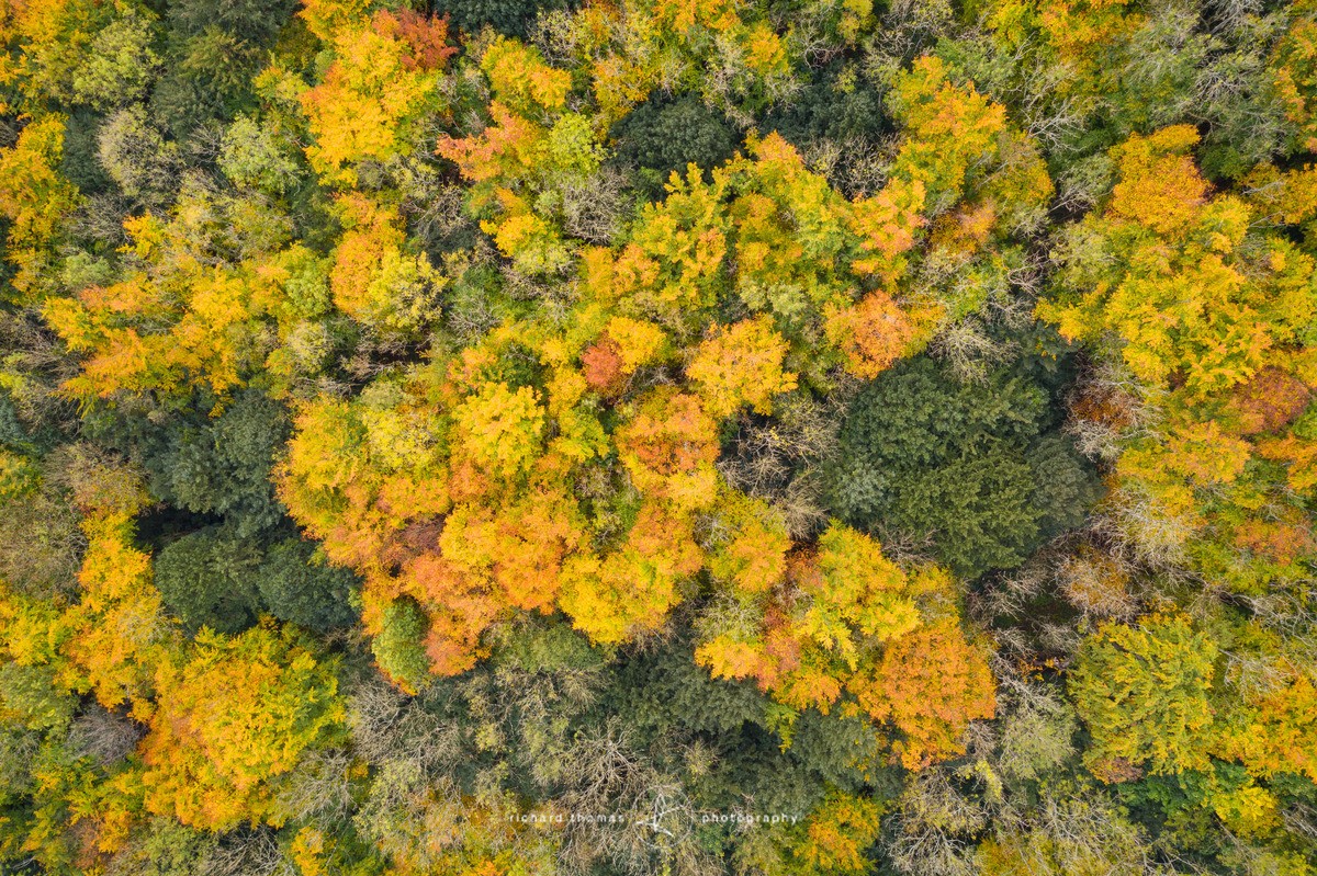 Less than Autumn - FROM ABOVE