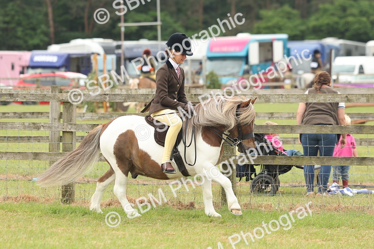 SBM_08894 - Class 78-80 - Ridden M&M Non Welsh Ponies