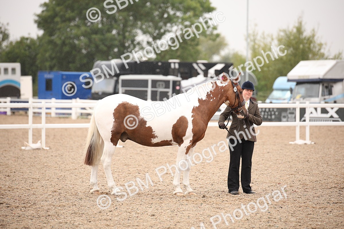 SBM_20171 - Class 703 - IH  Coloured
