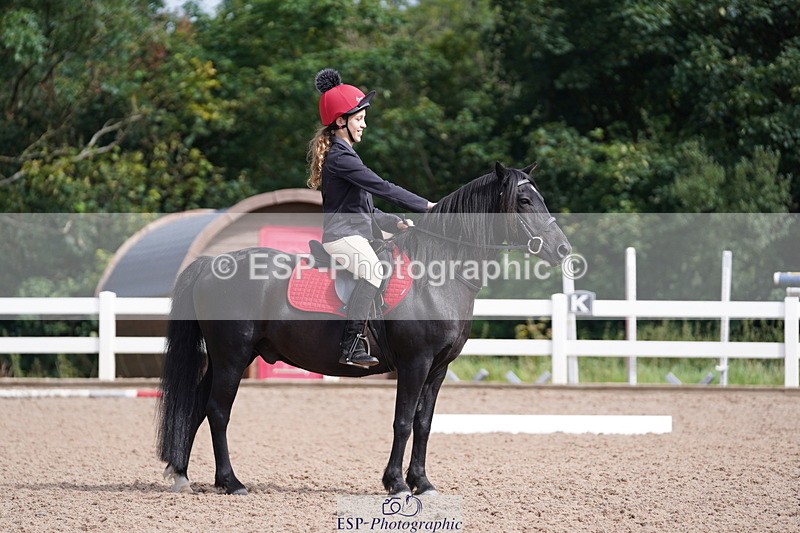 240809A-102650-00554 - Dressage Competition