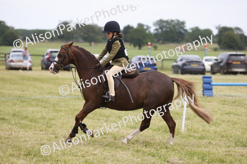 20260614-3024 - Class 22 - Open Working Hunter