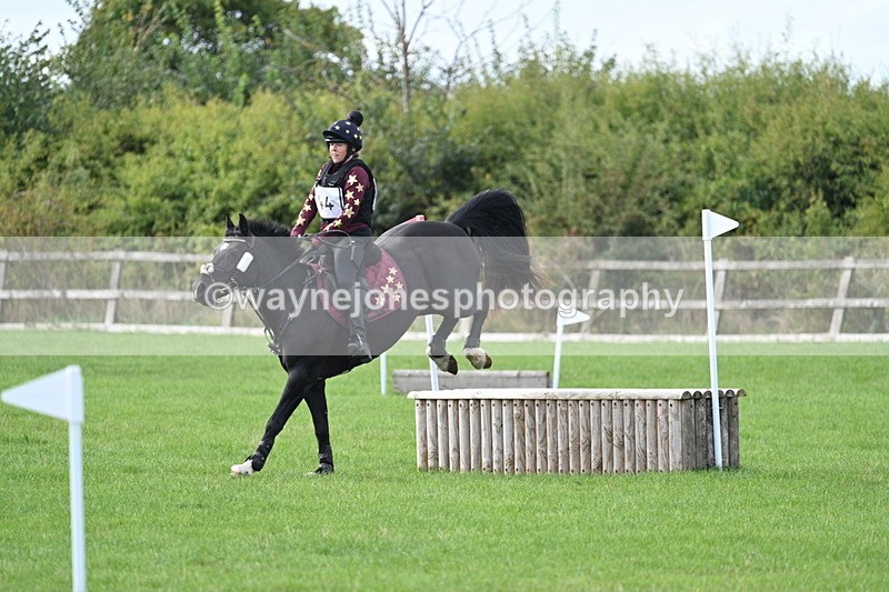 WJ7_8347 - 60cm Pairs