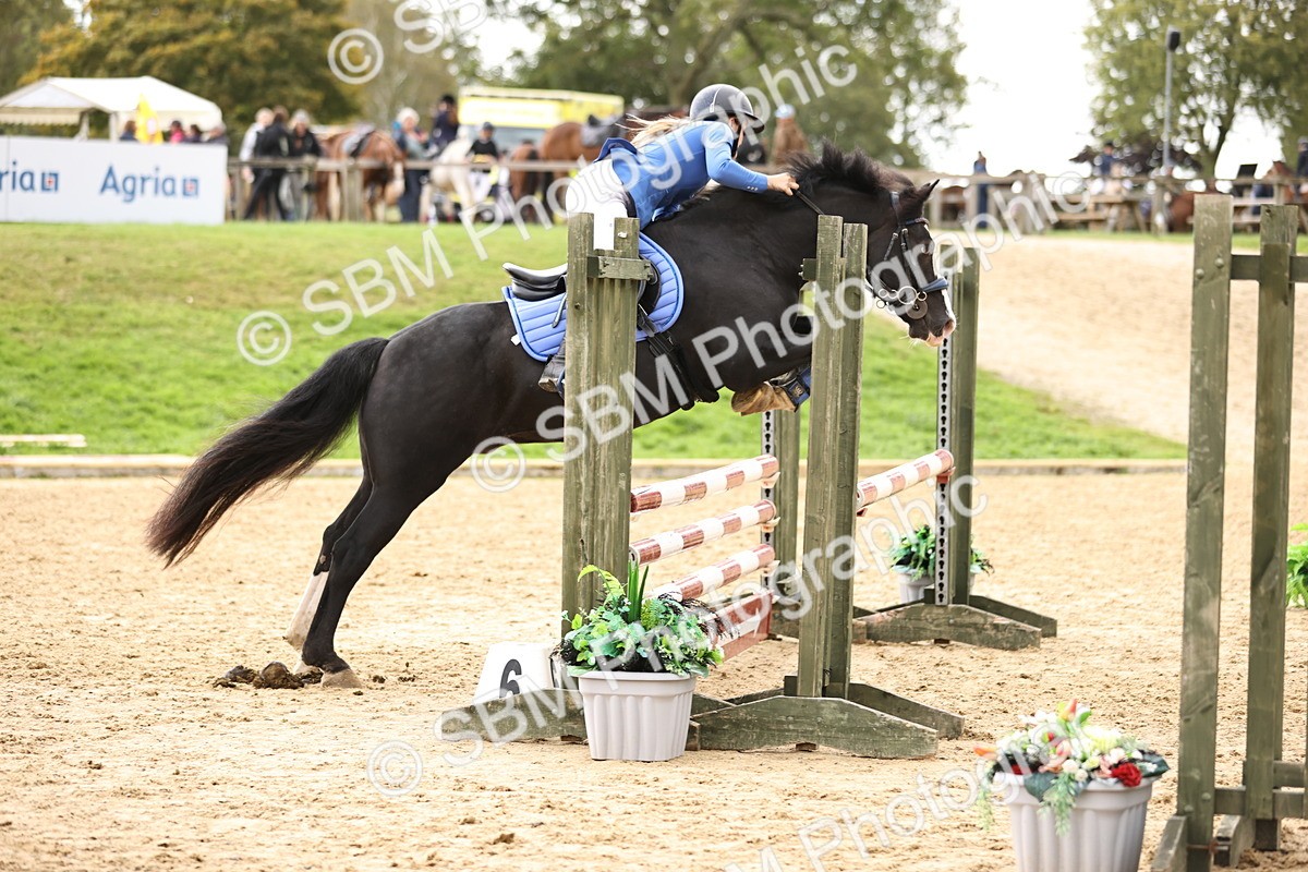 SBM_42013 - J40 Senior Horse & Pony 90cm Supreme Championship
