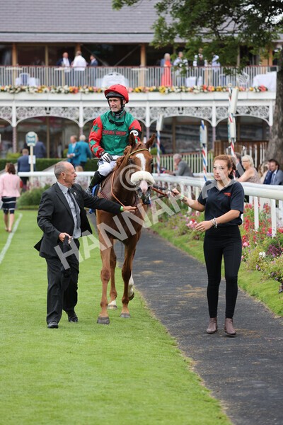 yr24072021r7-66 - Race 7 5.35pm The Sporting Life Fast Results Stakes