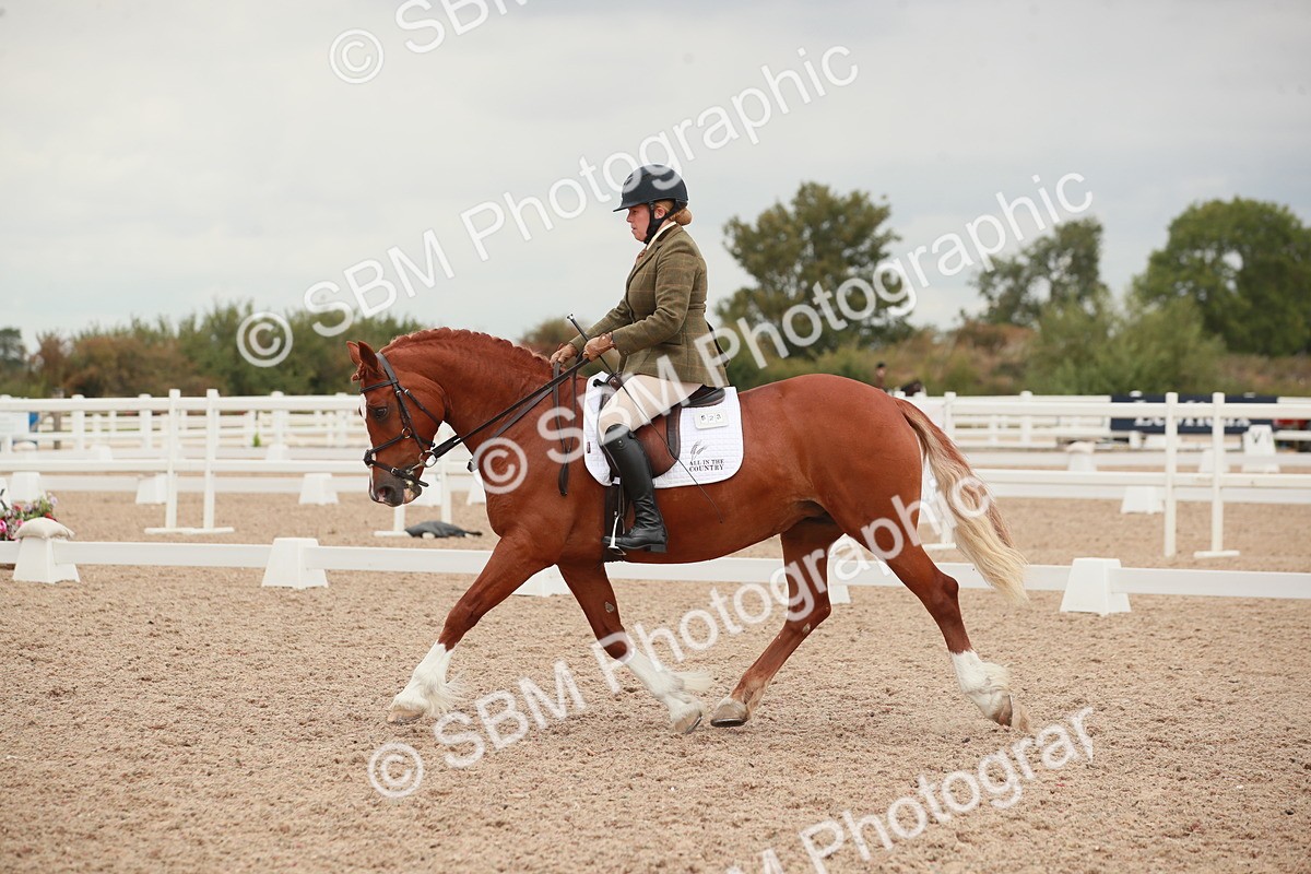 SBM_06090 - Class 33 - Elementary 1