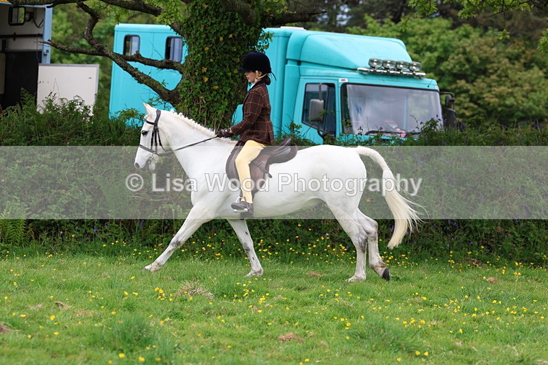 3E7A1822 - Class 9: Riding Club Horse/Pony