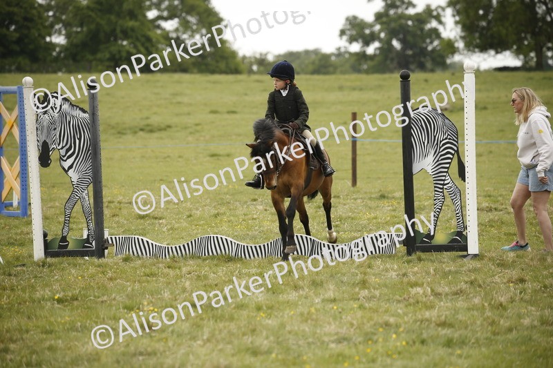 20250517-0905 - Class 2 - 30cm Off Lead Rein