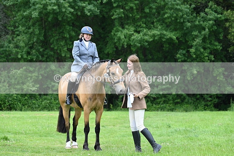 WJ7_4295 - Class 14A Handsome Gelding