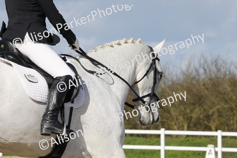 20260314-4886 - CT6 - Elementary 1