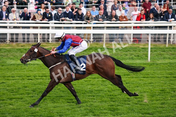 yr13052022r7-46 - Race 7 5.15pm Longines Irish Champions Weekend Stakes
