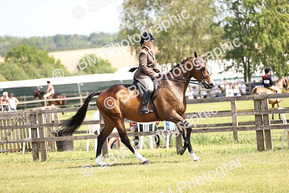 SBM_14864 - Class 78 - LIHS BSHA Open Racehorse & Show Horse