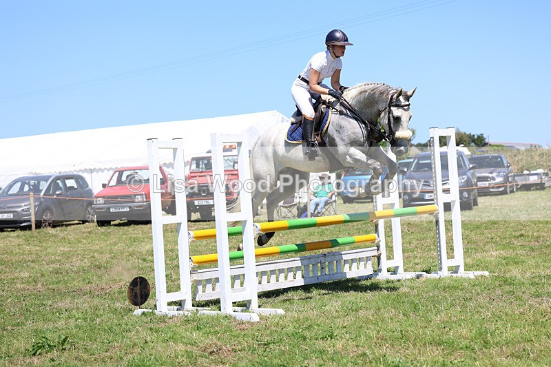 3E7A5575 - Class 9: Senior British Novice/90cm open