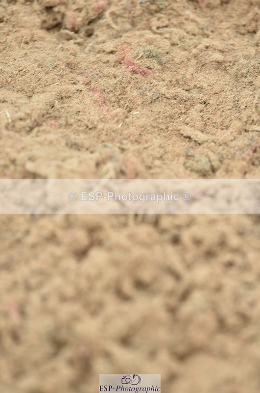 230611A-124636-05568 - Cls 34 1.05m Amateur Qualifier