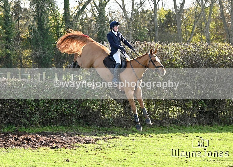 WJ6_2805 - Edited examples