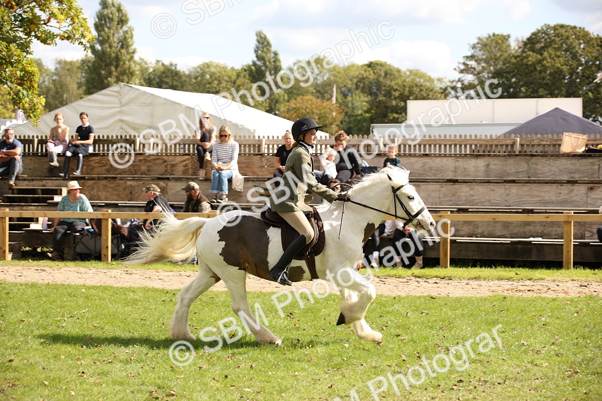 SBM_42290 - S13 - Pony Club Pony
