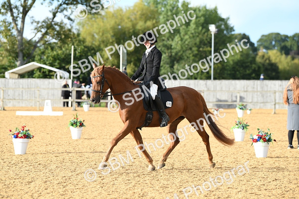 SBM_12571 - D19 Small Tour Championship Elementary 42