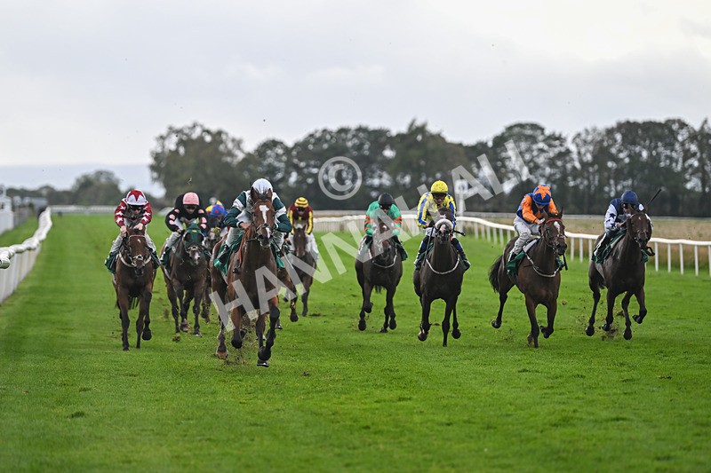 150925-Race 4-Hockney-2739 - Race 4