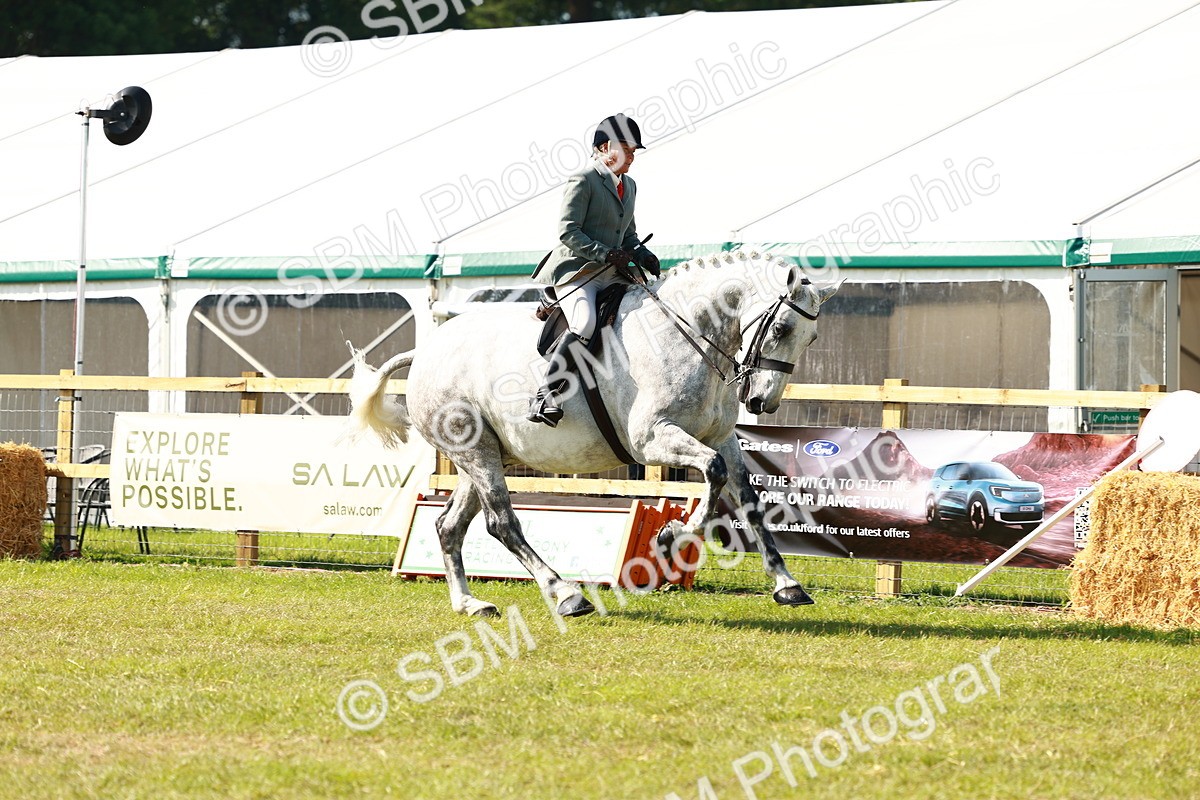 SBM_11953 - Class 66-69 - RIHS Ridden Hunters Inc Small Hunter