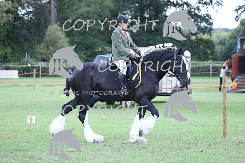 APP_3621 - Class 8 Ridden Class