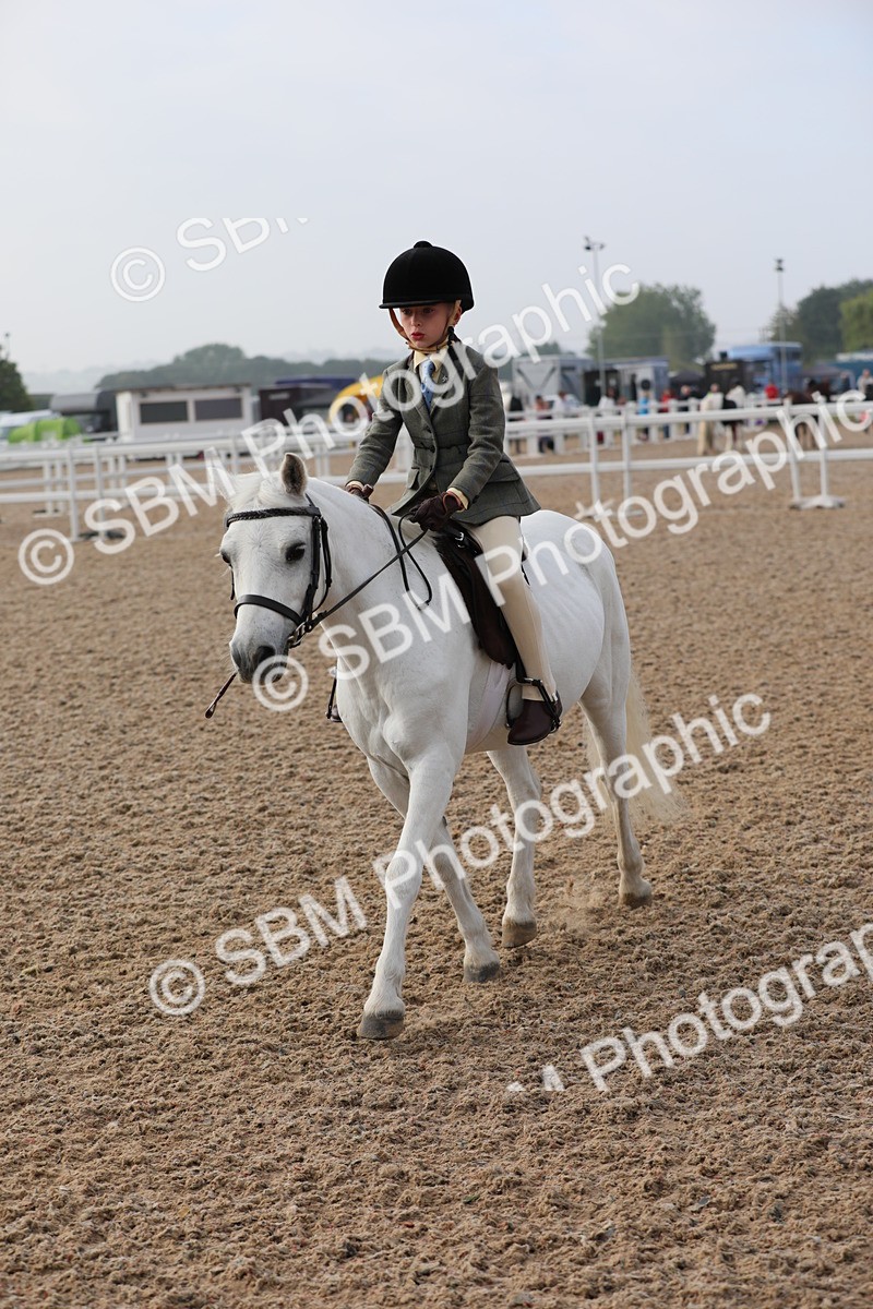 SBM_09651 - Class 301 Ridden M&M -Small Breeds