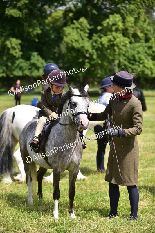 20260614-1281 - Class 11a - Lead Rein Pony (Unplaited)