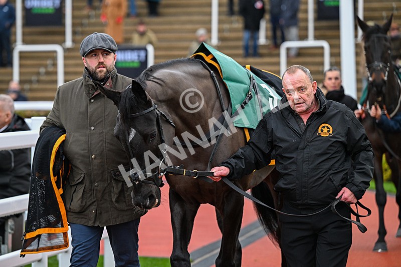 121225-Race 2-Royal Infantry-4512 - Race 2