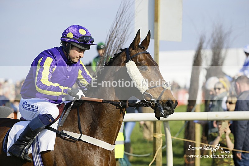 PtP 200322 428 - Mendip Farmers Point-to-Point 20/03/22