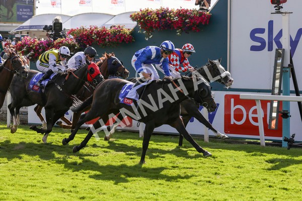 240824-Race 5-Elmonjed-9177 - Race 5 4.10pm Sky Bet Constantine Handicap