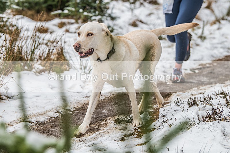 Glentress-2273 - High Terrain Events Glentress 10K 21K & 42K Trail Races Sunday 16th February 2025