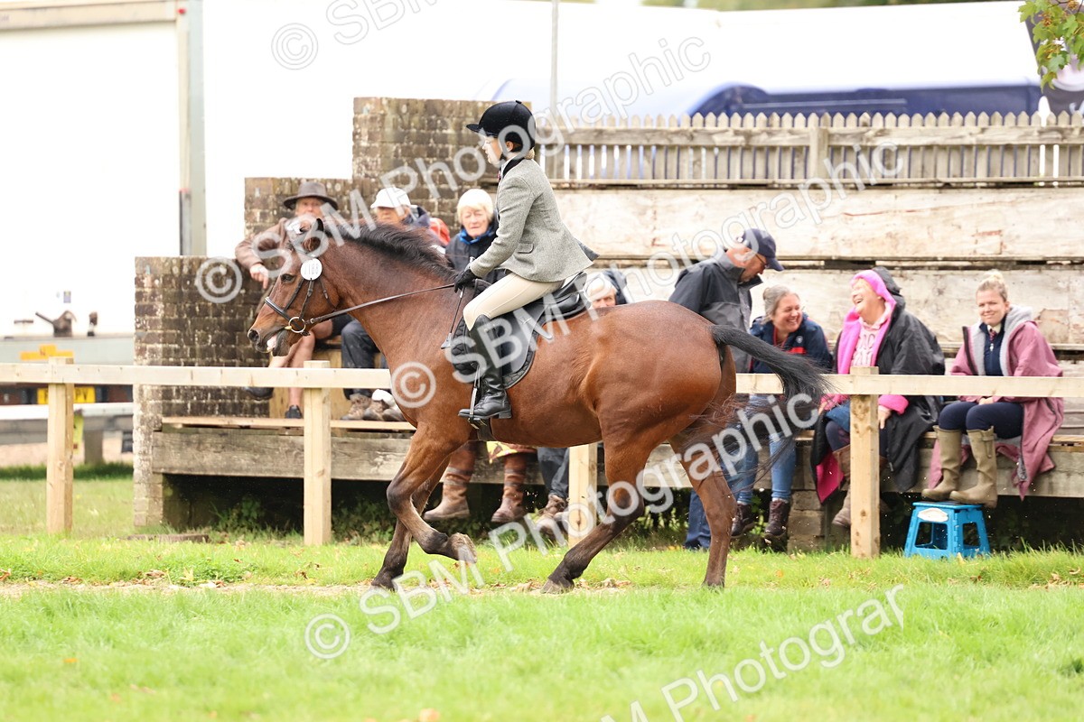 SBM_69616 - S62 - Mountain & Moorland Ridden Large Breeds