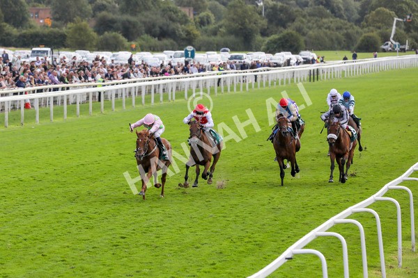 230824-Race 2-Vauban-8326 - Race 2 2.25pm Weatherbys Hamilton Lonsdale Cup Stakes