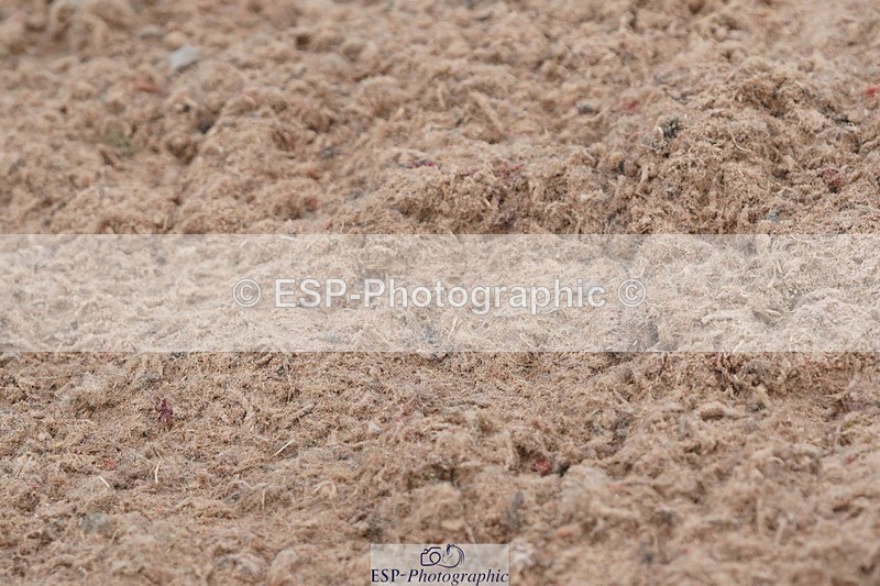 250621-101826-05650 - Quest Cls 7-11, Prelim All