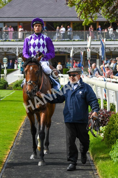 170523-Race 5-Dark Thirty-0720 - Race 5 4.10pm Conundrum HR Consulting Handicap