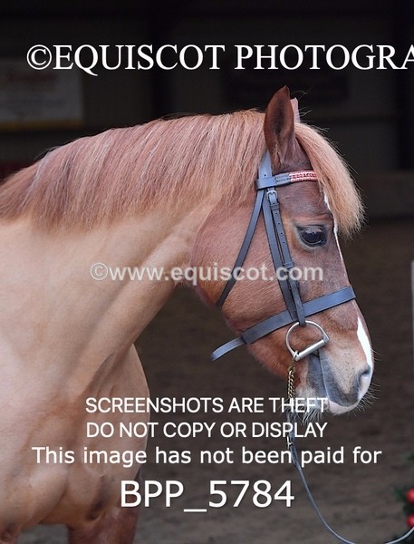 BPP_5784 - Sarah Page