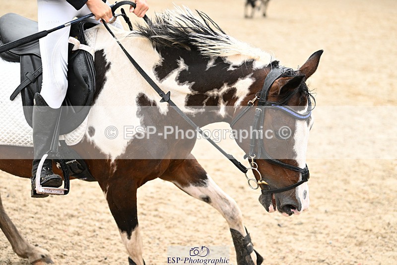 240824X-100010-23481 - 70cm Round 2 9.30 to 10.30