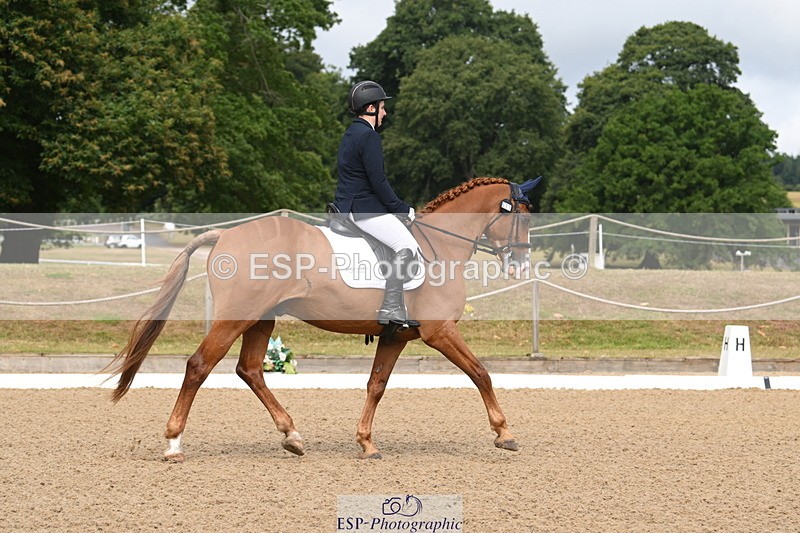 250720A-101130-09434 - 071-Jesse.Poyntz-Wright-Knockaderry.Jack