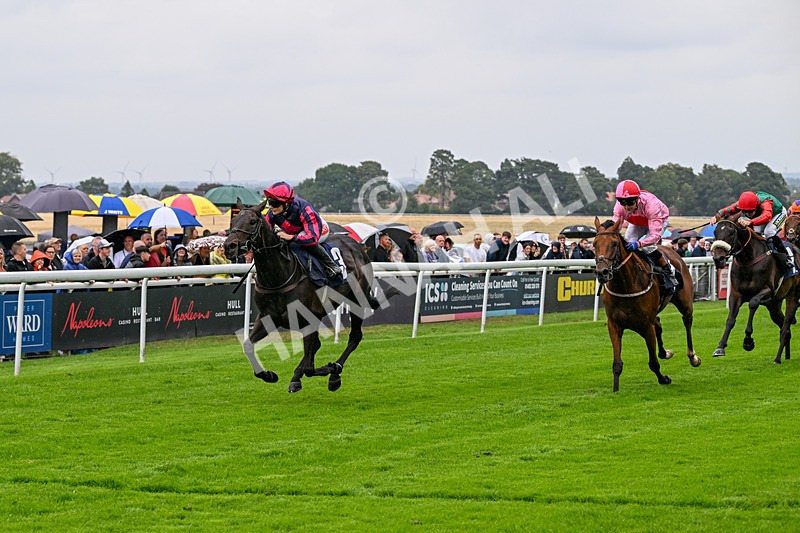 290826-Race 2-Valley Of Flowers-5961 - Race 2 2.20pm Napoleons Casino And Restaurant Hull Handicap