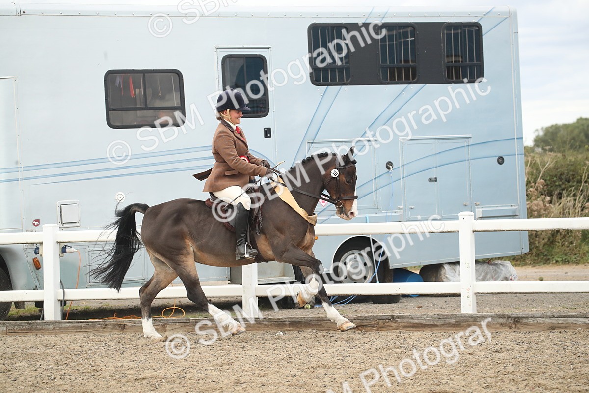 SBM_17955 - Class 508b - Working Veteran 70cm (20+)