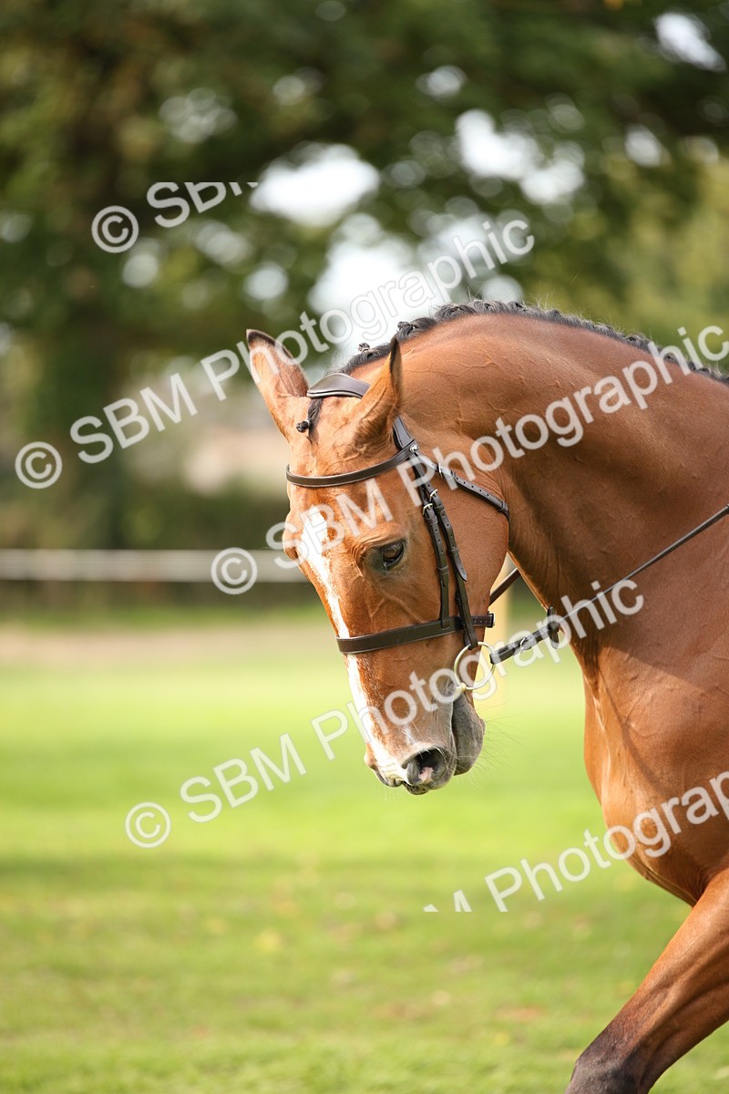 SBM_70425 - S66 - Hunter Ridden