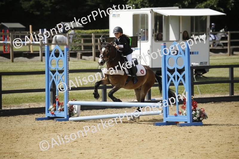 20250622-3895 - 50cm