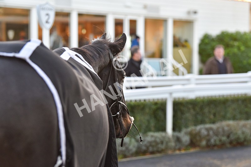 241123-Race 7-Defence Witness-7821 - Race 7