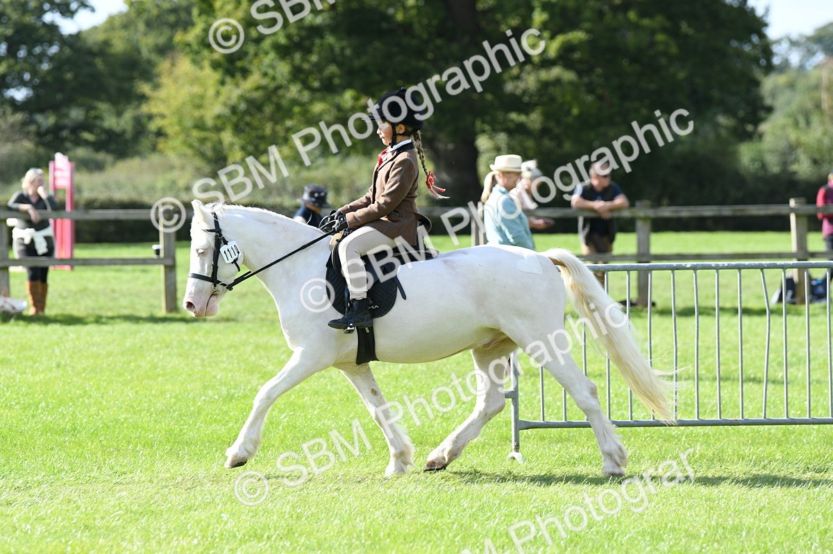 SBM_50293 - S21 - Novice & Newcomers 1st Ridden Pony