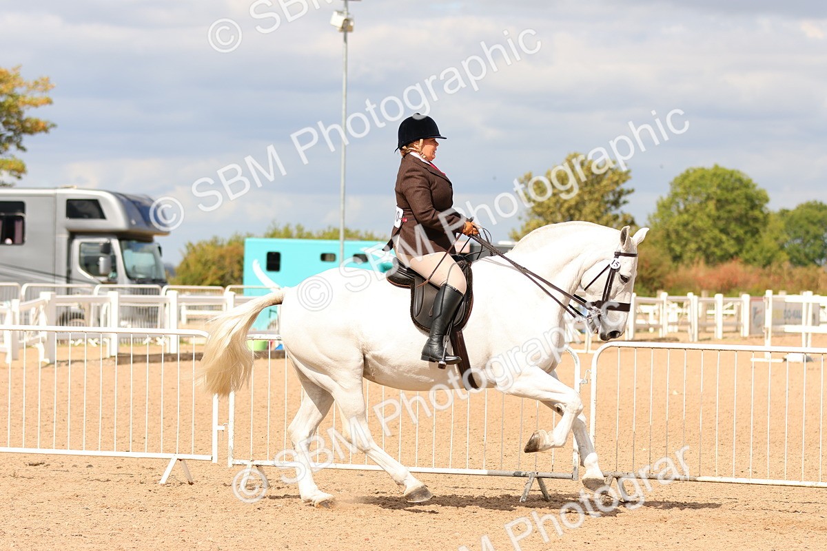 SBM_15493 - Class 214 - Ridden Show Cob