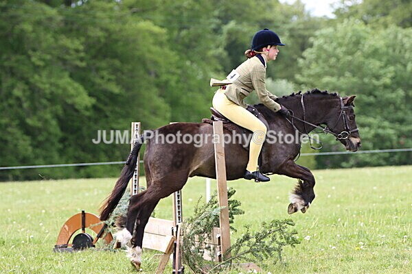 IMG_2584 - Working Hunter