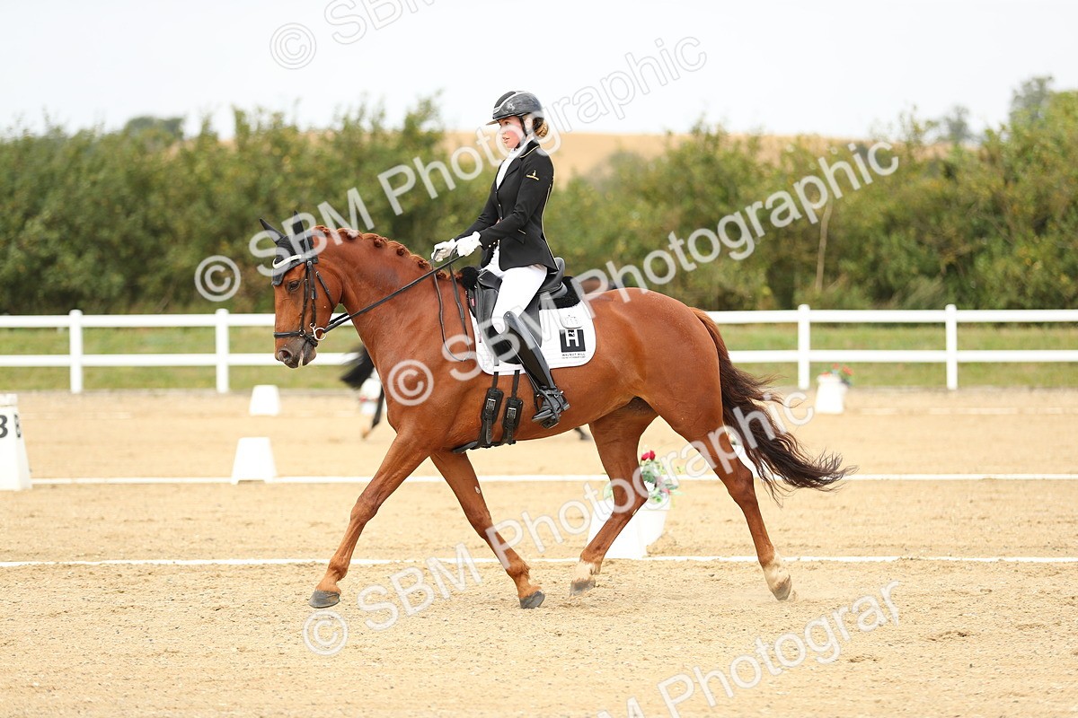 SBM_017603 - Class 13 - Novice 23 - 14.27-15.16