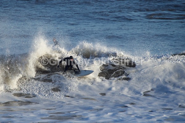 DSC_7664 - East Coast 27th Dec 2016
