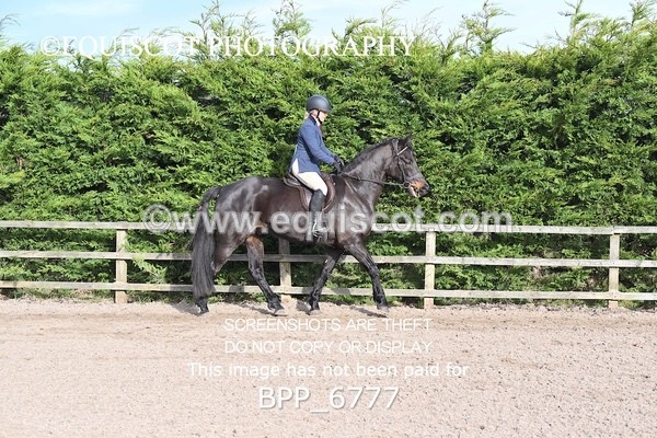 BPP_6777 - RING 1  (RIDDEN HORSES / IN HAND / VETERAN ETC)