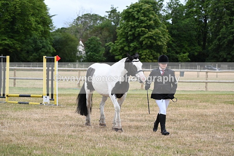 WJ6_4361 - Class 10 Coloured In-hand