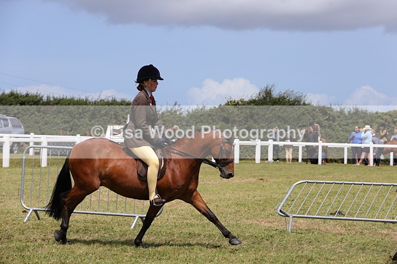 1X9A4375 - Class 34: Veteran Ridden